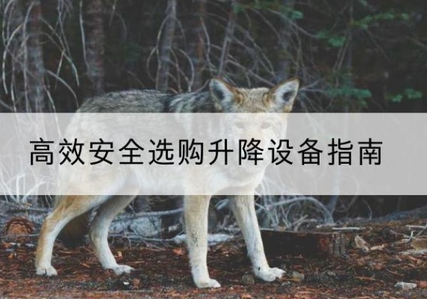 西秀升降货梯厂家推荐-*安全选购升降设备指南