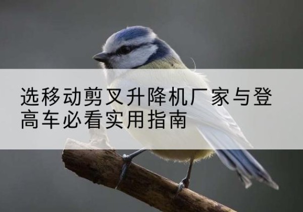 西秀电动升降机厂家-选移动剪叉升降机厂家与登高车必看实用指南