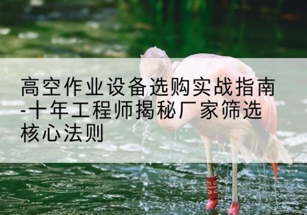 西秀剪叉式升降机厂家-高空作业设备选购实战指南-十年工程师揭秘厂家筛选核心法则